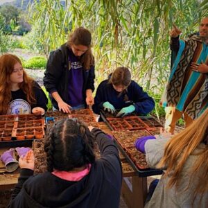 Students plant vegetables at Terra Madre gardens in San Diego, California