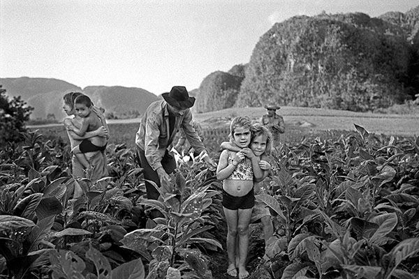 family of laborers working on a tobacco farm