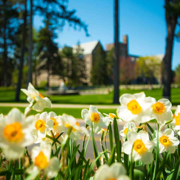 Flowers on campus