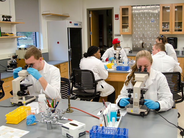students in a lab looking through microscopes