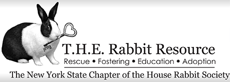 Rabbit Resource Visits Naz!