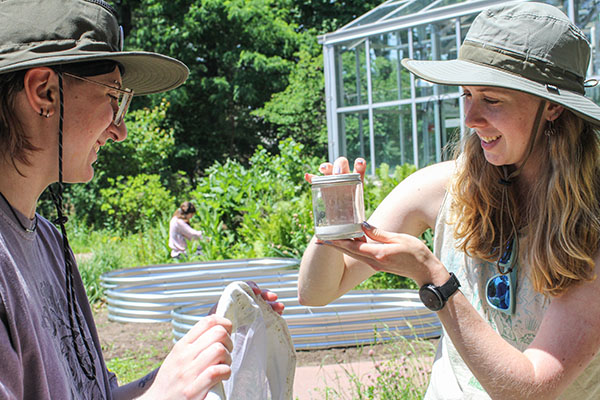 students collecting pollen samples on campus