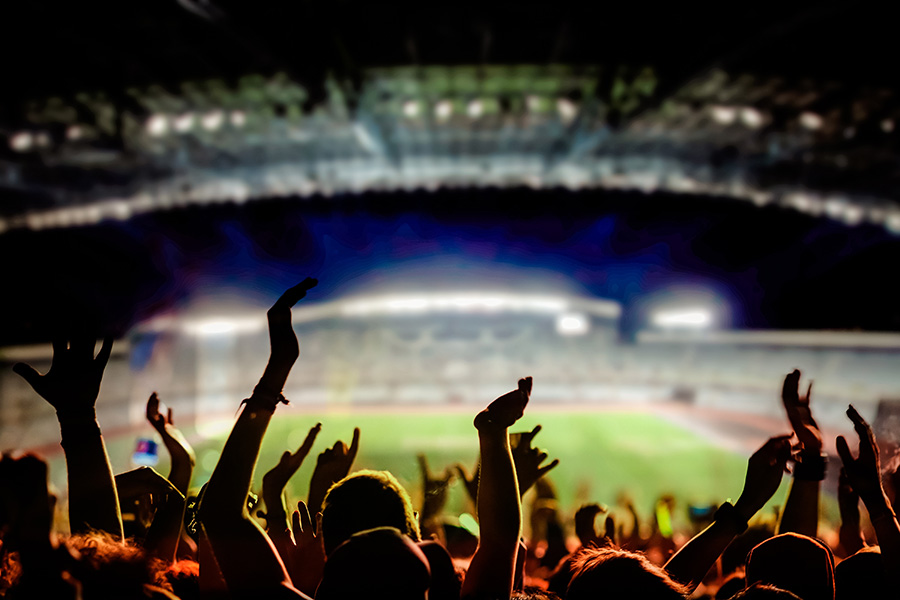 crowd cheering at a sporting event