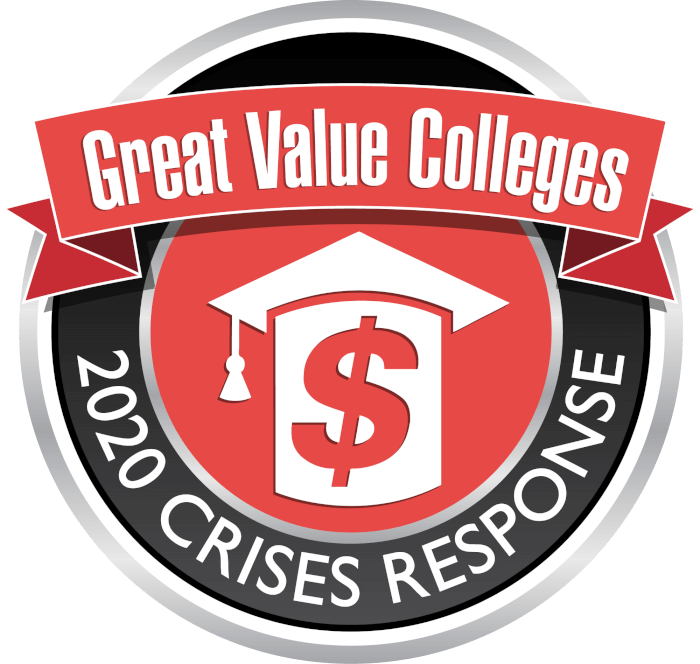 Great Value Colleges 2020 Badge