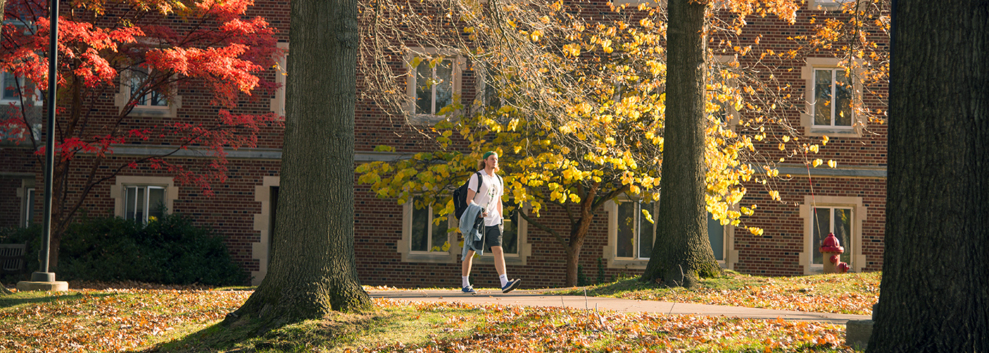 Fall Foliage at Nazareth College