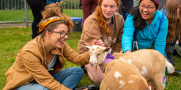 student petting a goat during a session of goat yoga