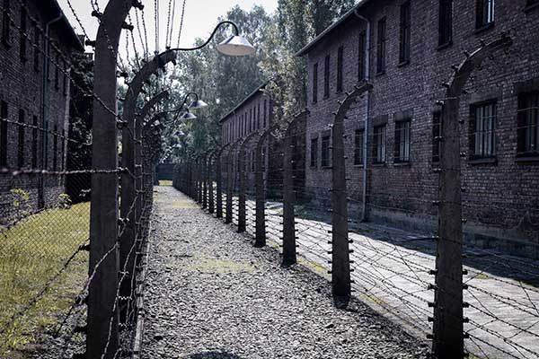 WWII and the Holocaust Film and Lecture Series