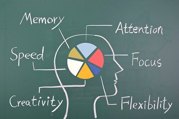 chalk drawing of a pie chart representing a human brain