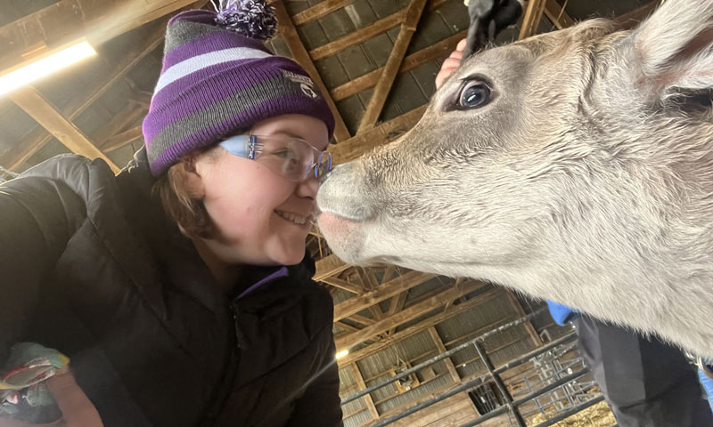 Courtney Calkins face to face with a cow on an alternative break trip