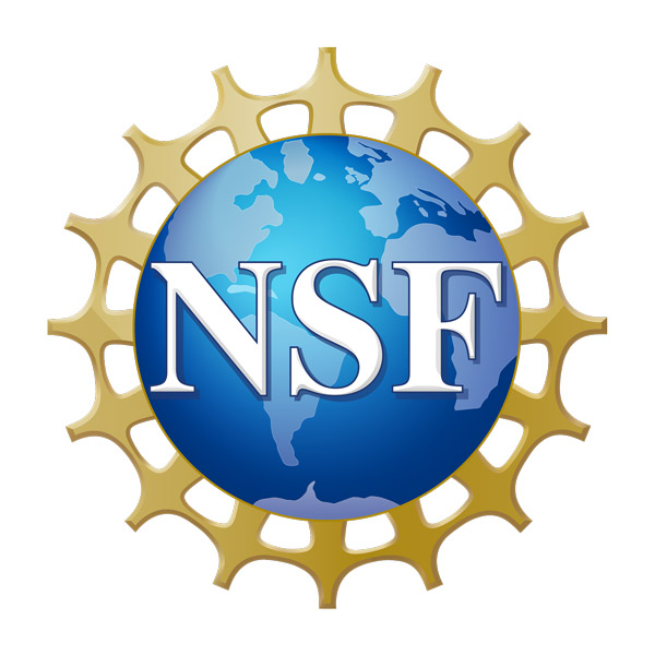 NSF logo: NSF on a blue globe with a gold gear or spokes behind