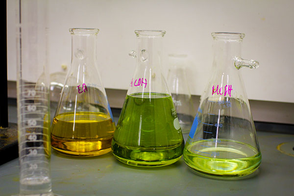 chemical liquids in Erlenmeyer flasks