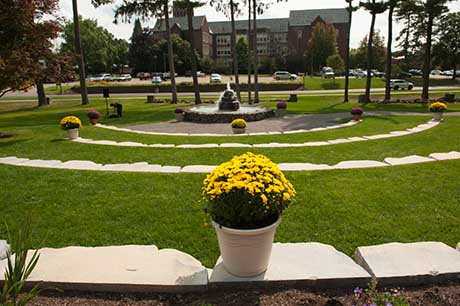 mums peace garden-WEB.jpg