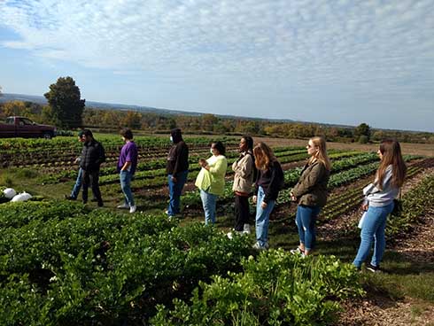 Students walk between rows of green vegetables growing on a farm