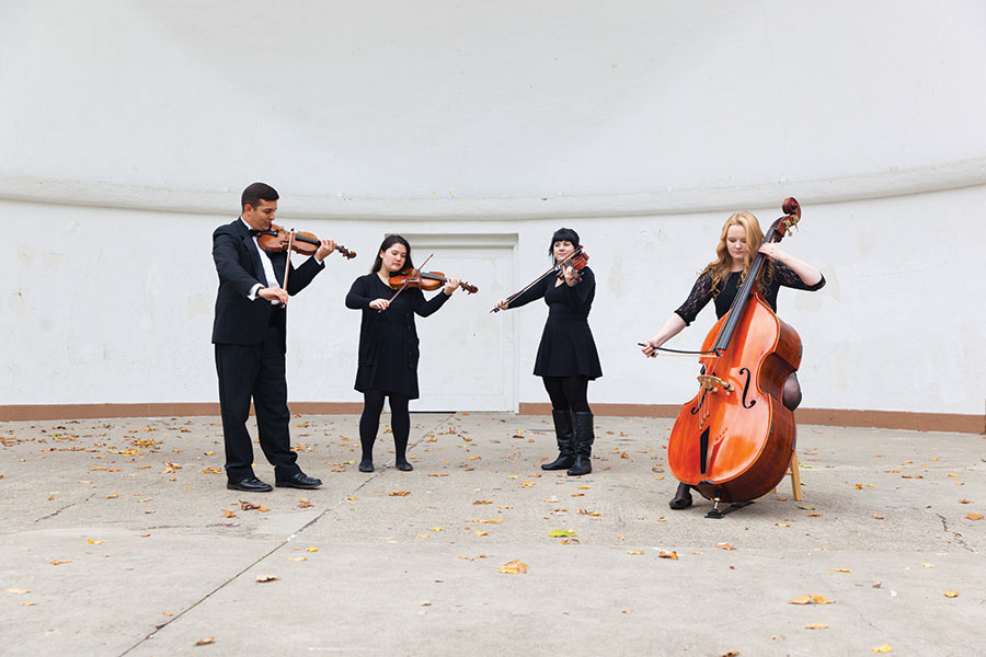 musicians playing string instruments