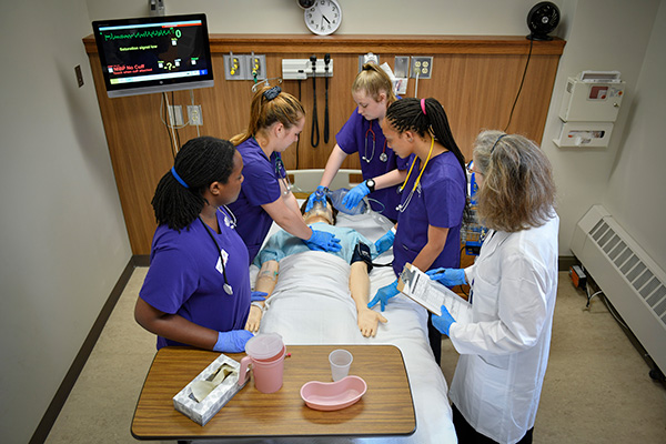 nursing students working on a sim patient