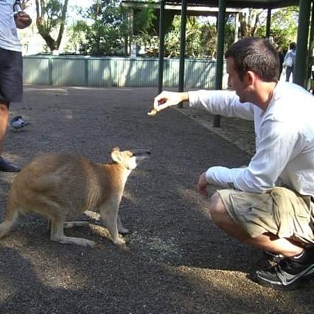 Feeding a kangaroo in Australia