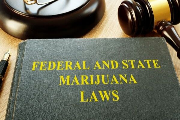  Marijuana Decriminalization Bill: Know Your Rights