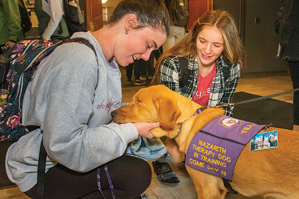 students petting Tilly the therapy dog