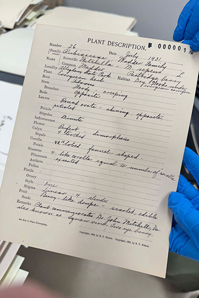 sheet of paper with plant description