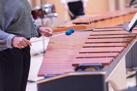 musician playing xylophone