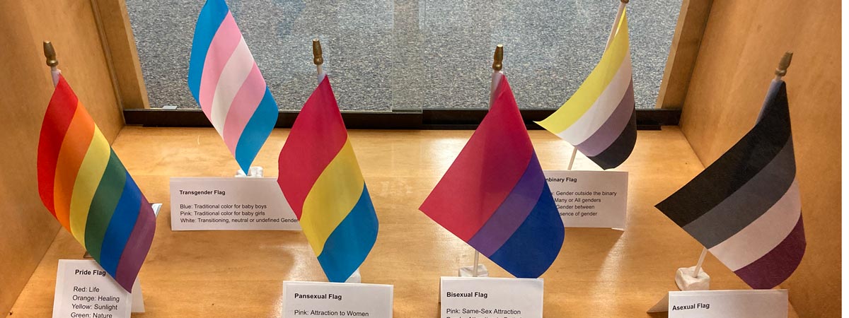 Display in the library includes pride, transgender, pansexual, bisexual, nonbinary and asexual flags
