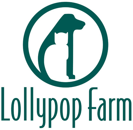 Lollypop Farms Therapy Dogs at Naz