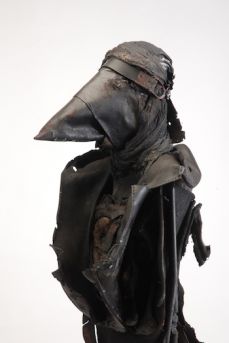 Blackbird.jpg